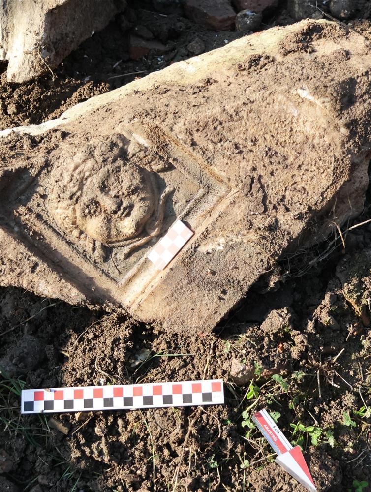 medusa2.jpg medusa2.jpg