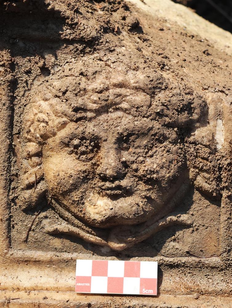 medusa3.jpg medusa3.jpg