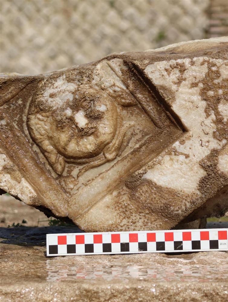 medusa.jpg medusa.jpg